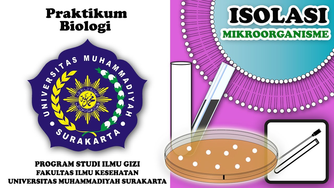 Isolasi Mikroorganisme - Praktikum Biologi - Ilmu Gizi