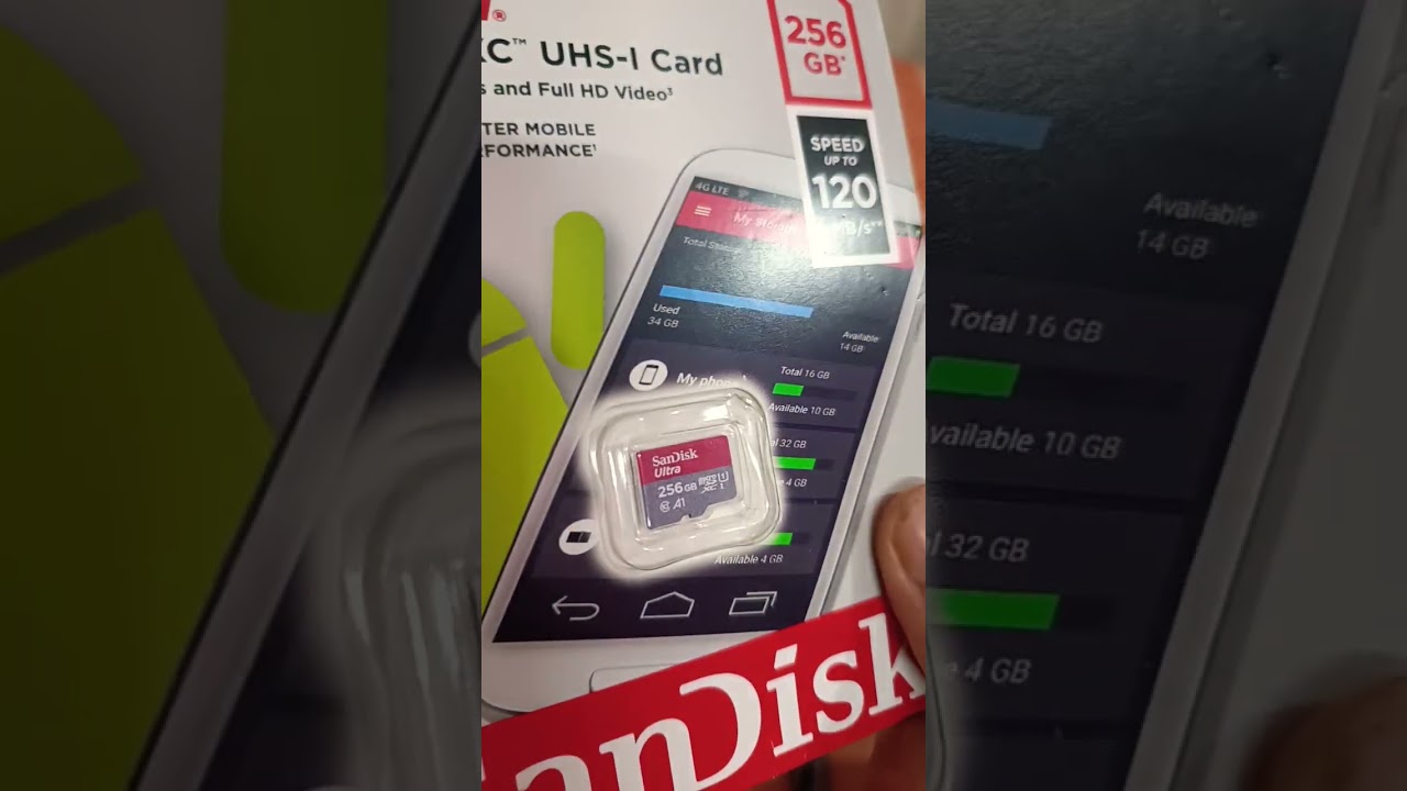 SanDisk 256 gb memory card