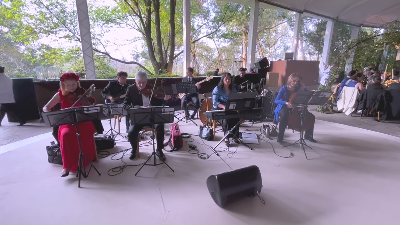 Bitter Sweet Symphony