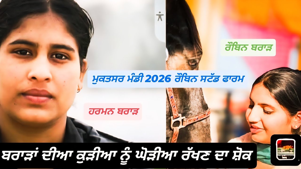 ਮੁਕਤਸਰ ਮੰਡੀ 2026 ਰੌਬਿਨ ਸਟੱਡ ਫਾਰਮ #horse #horseracing #horseriding #sidhumansawala #horse #viral 