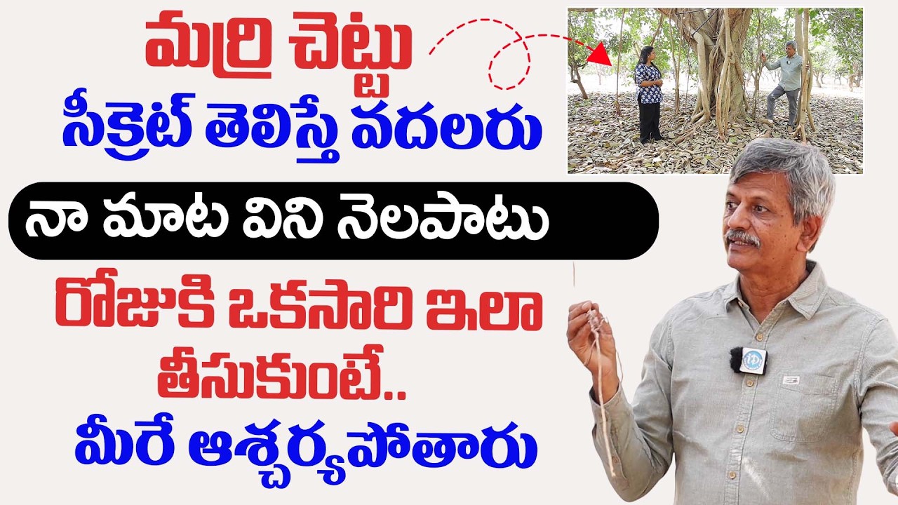 మర్రి ఊడల గురించి తెలుసుకోకపోతే మీరే నష్టపోతారు! | #Marri_Udalu Uses in telugu |Marri Chettu |iDream