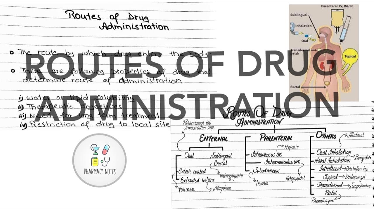 Pharmacokinetics and Routes of Drug Administration Pharmacology|Pharmacy Notes