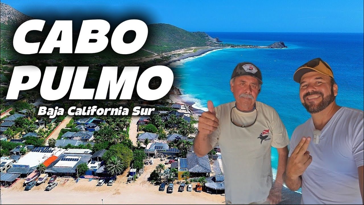 CABO PULMO El Acuario Mas Grande del Mundo 🌎  CABO PULMO DIVERS 