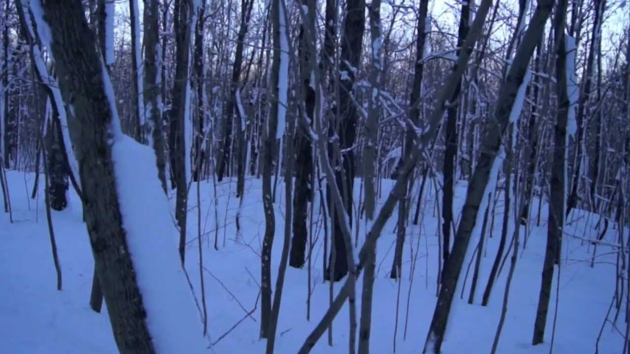 Hymne à la beauté du monde / Virginie Cummins (Les rescapés) / Images de Robert Campeau