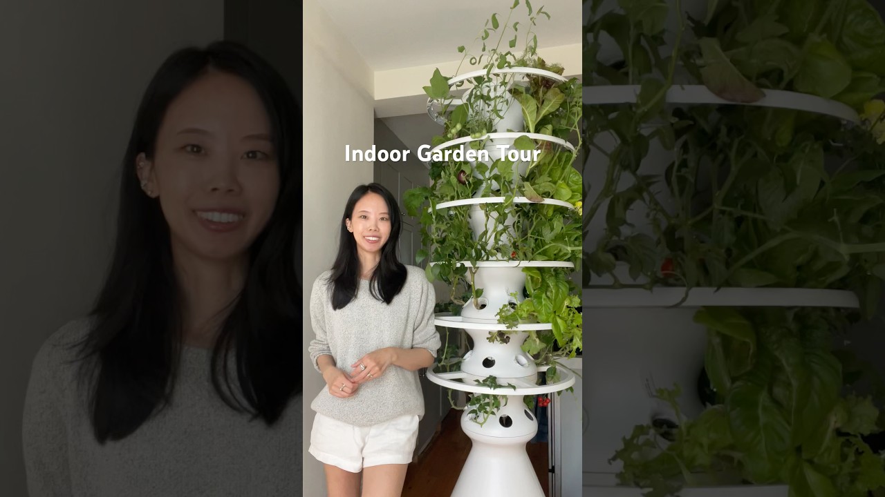 June Indoor Garden Tour: what&rsquo;s growing in Lettuce Grow #indoorgarden #growyourownfood #nycapartment