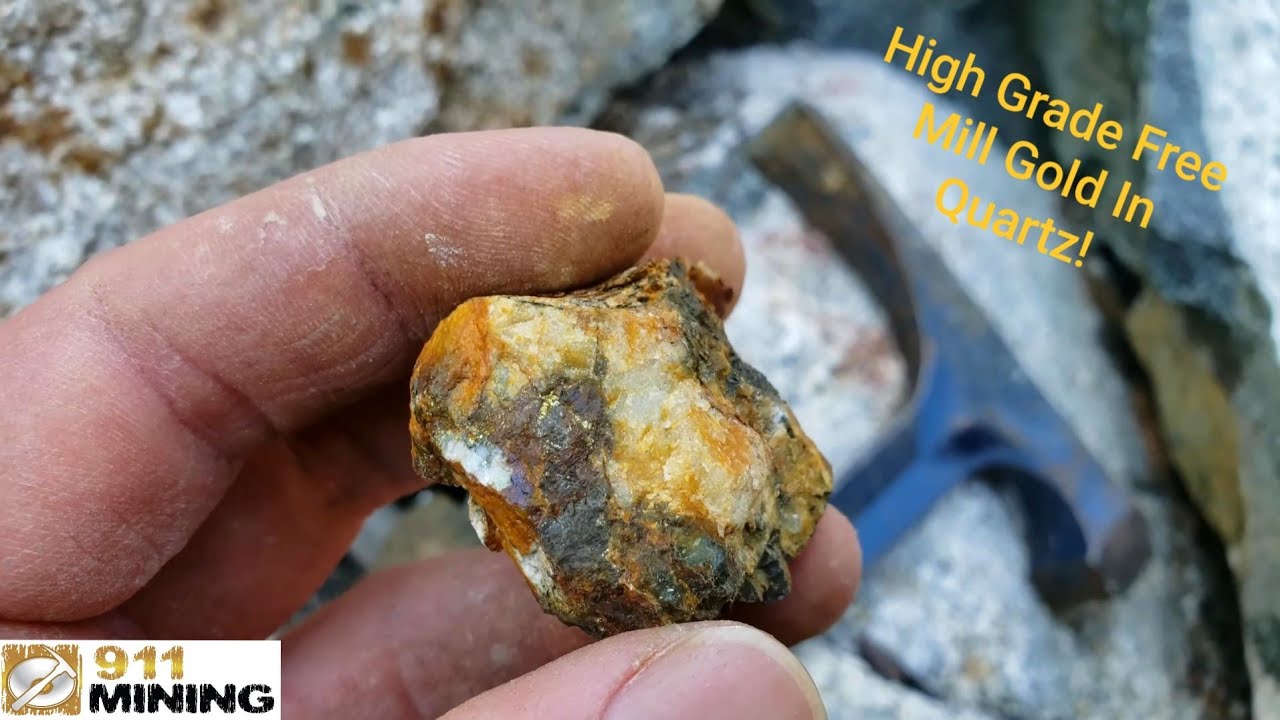 Ultra High Grade Gold Quartz Found On A New Logging Road! (4.3oz/ton)