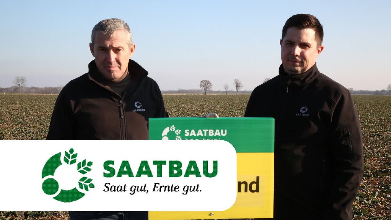 Winterweizen 2025 – Wo ist das Protein geblieben?