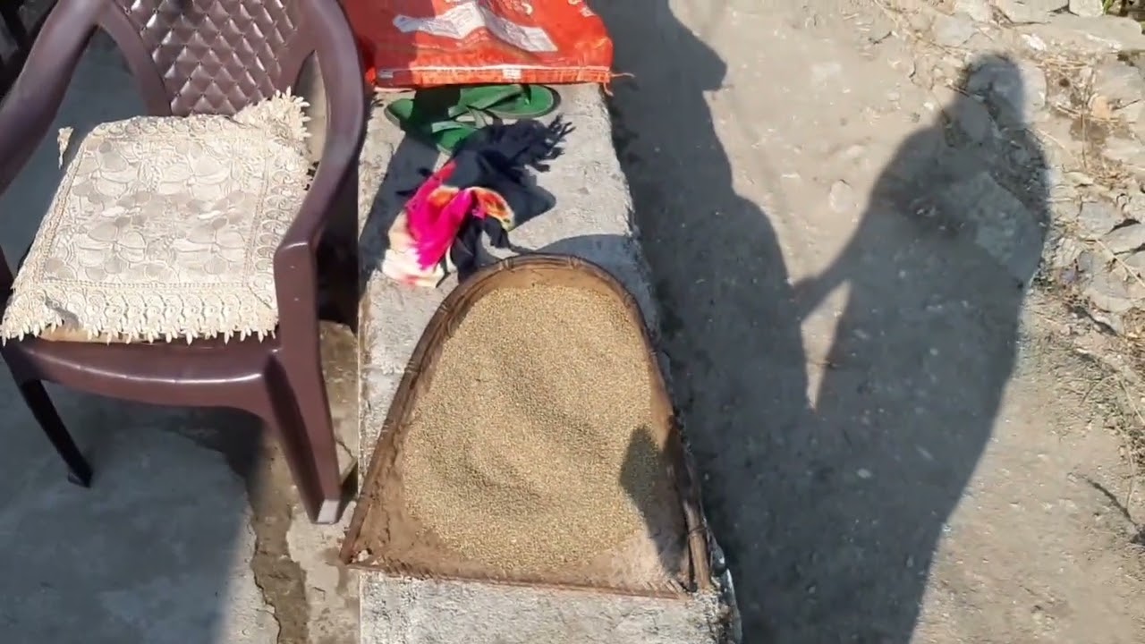 Duggi भी हो रहा है अब लड़ाकू pahadi lifestyle 