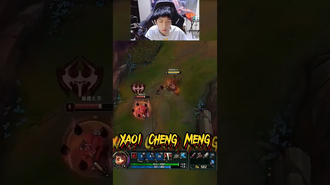 #xiaochaomeng. XAOI CHENG MENG DARIUS VS RIVEN...