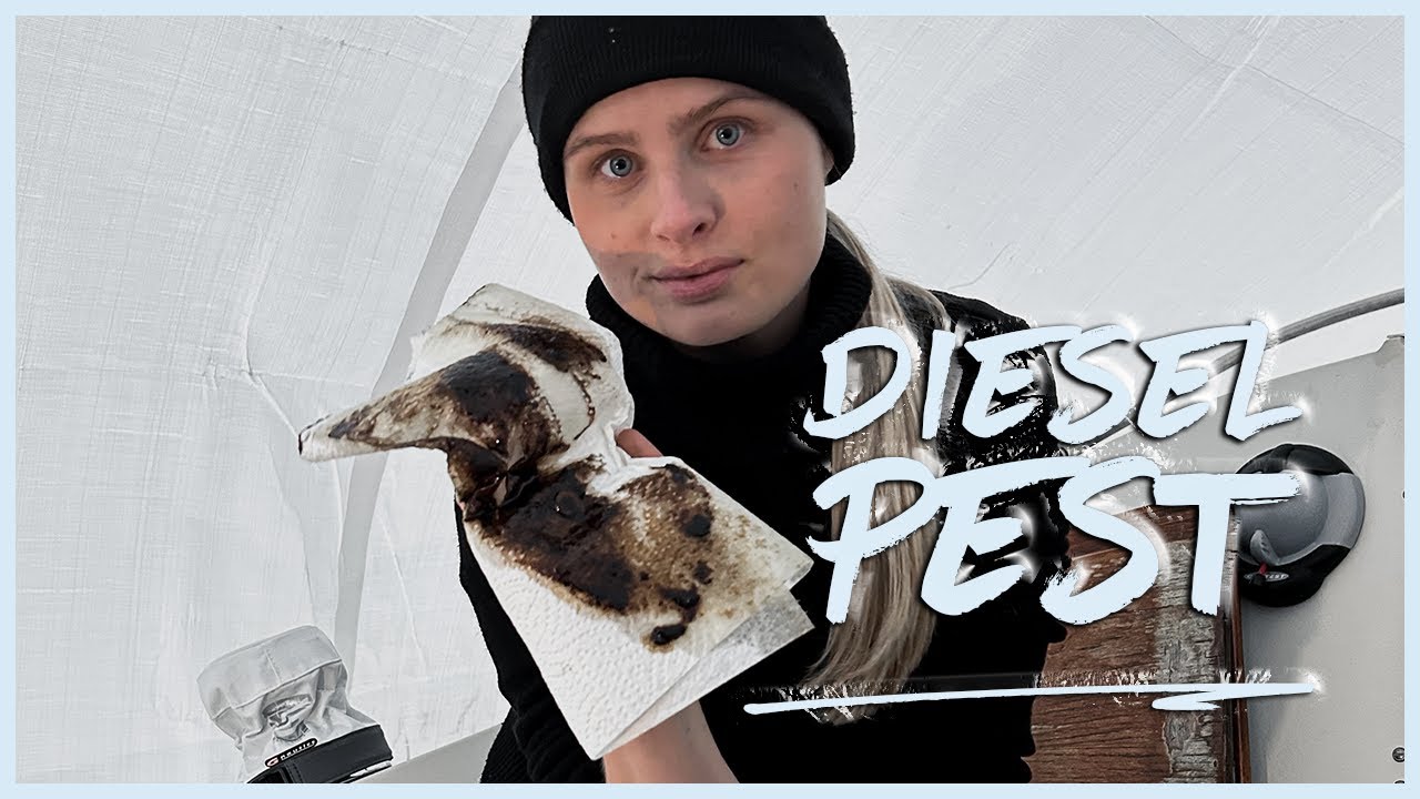 KAMPF gegen die DIESELPEST | SO beseitigst du die DIESELPEST in deinem TANK #sailingmeera #maxi84