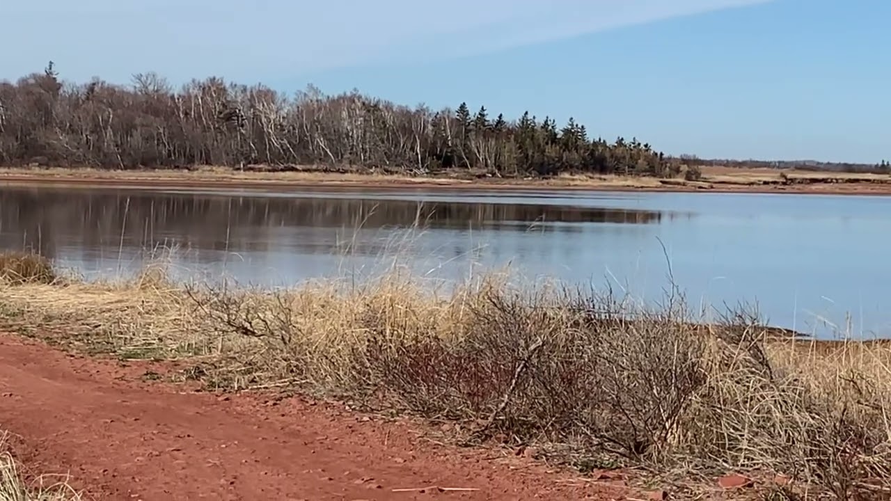 The Homestead Trail at Cavendish Beach National Park