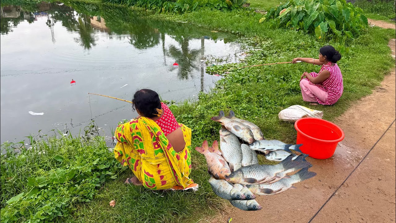 Fishing Video 😱|| Fishing techniques are very simple if the right method is known || Village fishing