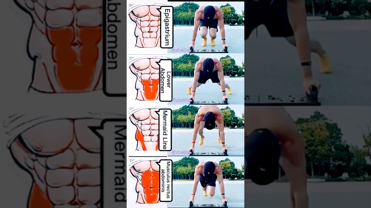 ABC Workout Split &ndash; Fastest Way to Build Muscle! 💥 #shorts