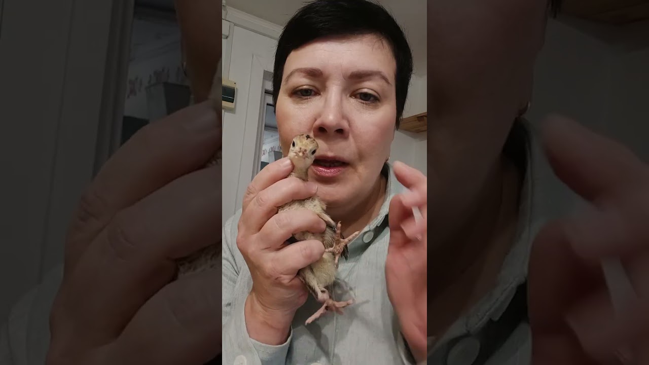 Видео - в моменте