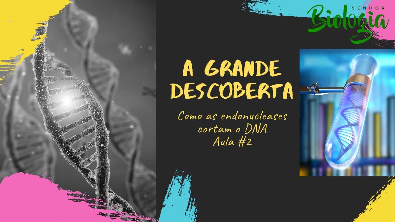 COMO AS ENDONUCLEASES CORTAM DNA