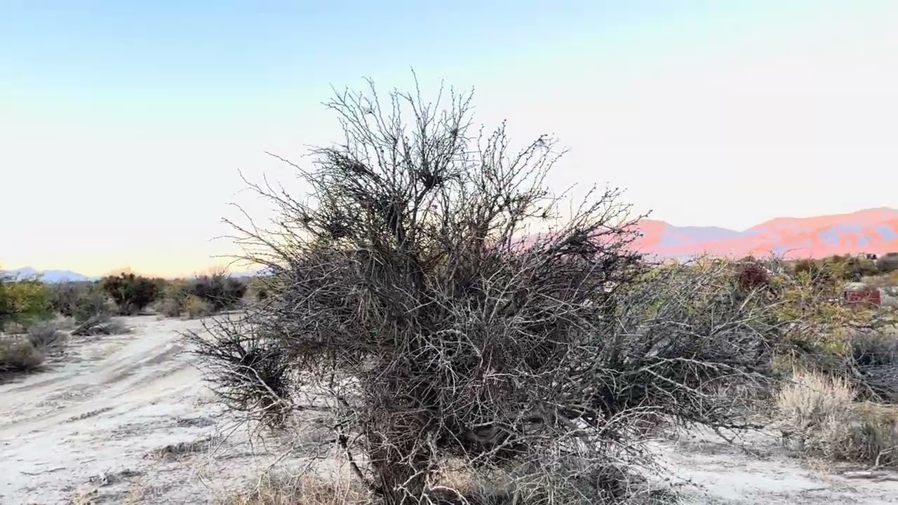 Magnificent Nevada desert sunsets ￼
