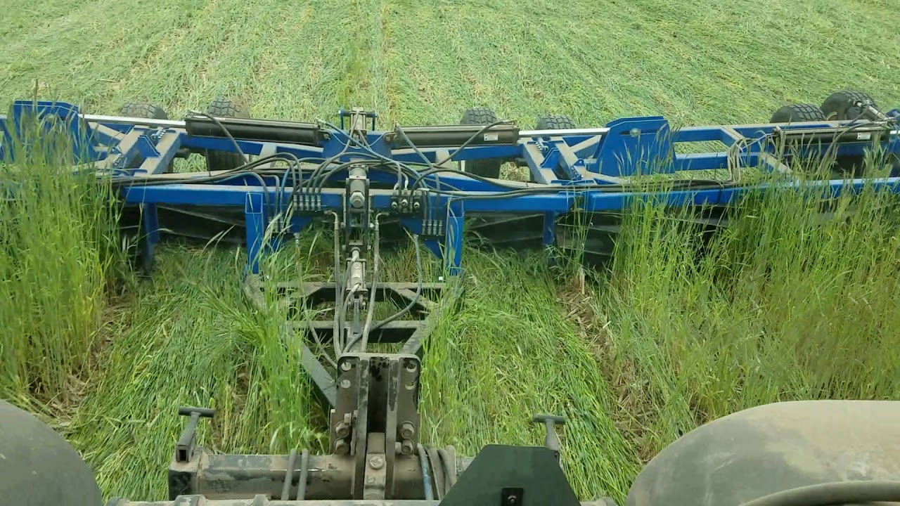42' 5 section roller crimper test in cereal rye
