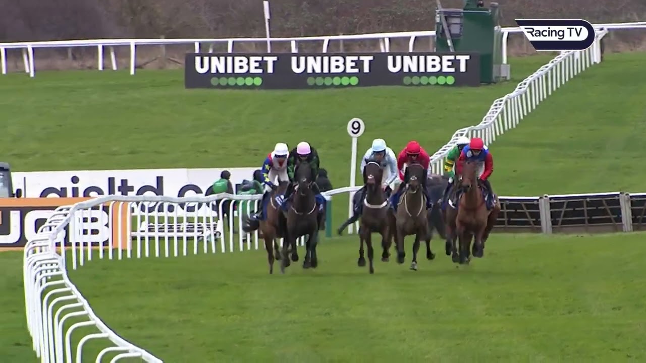 Ma Shantou - Stayers' Hurdle Preparations