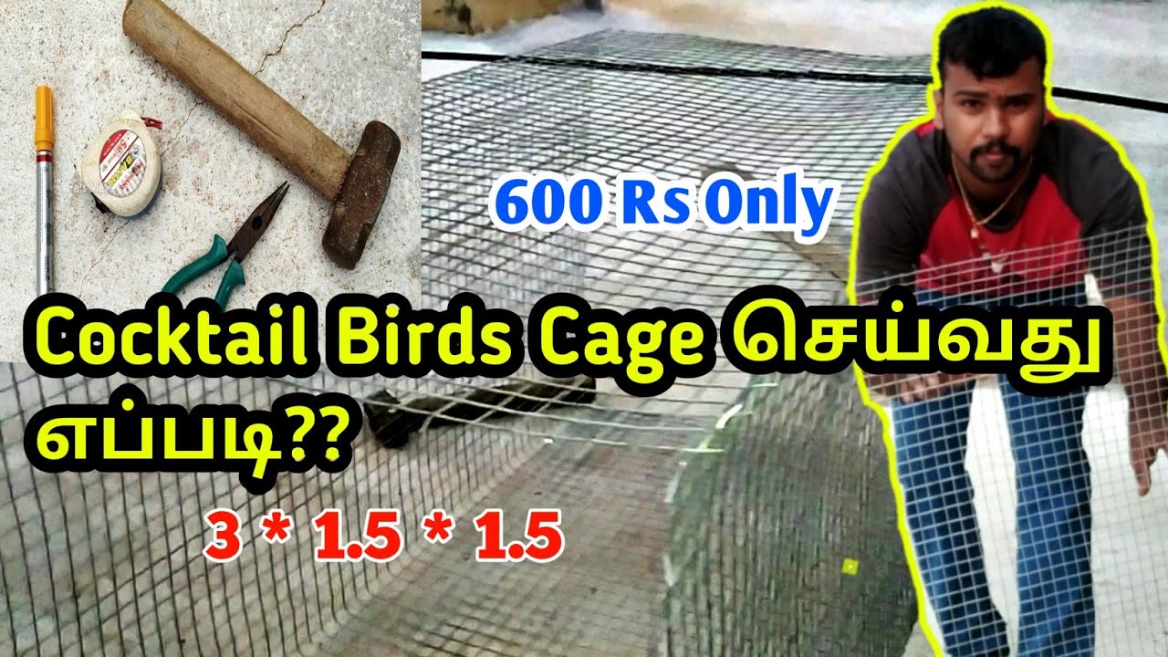 Cocktail Birds Cage செய்வது எப்படி??
