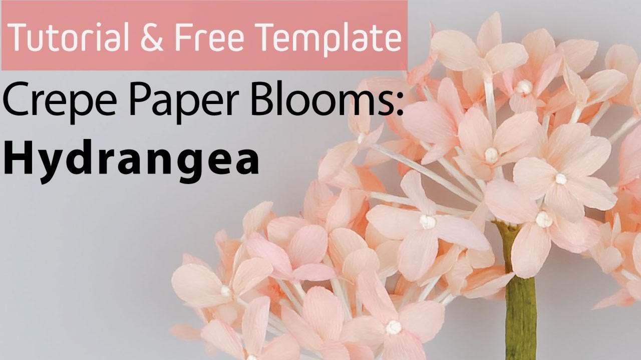 [Free Template & Tutorial] Crepe Paper Blooms #5: Hydrangea 수국 종이꽃 만들기 / Crepe Paper Flower DIY