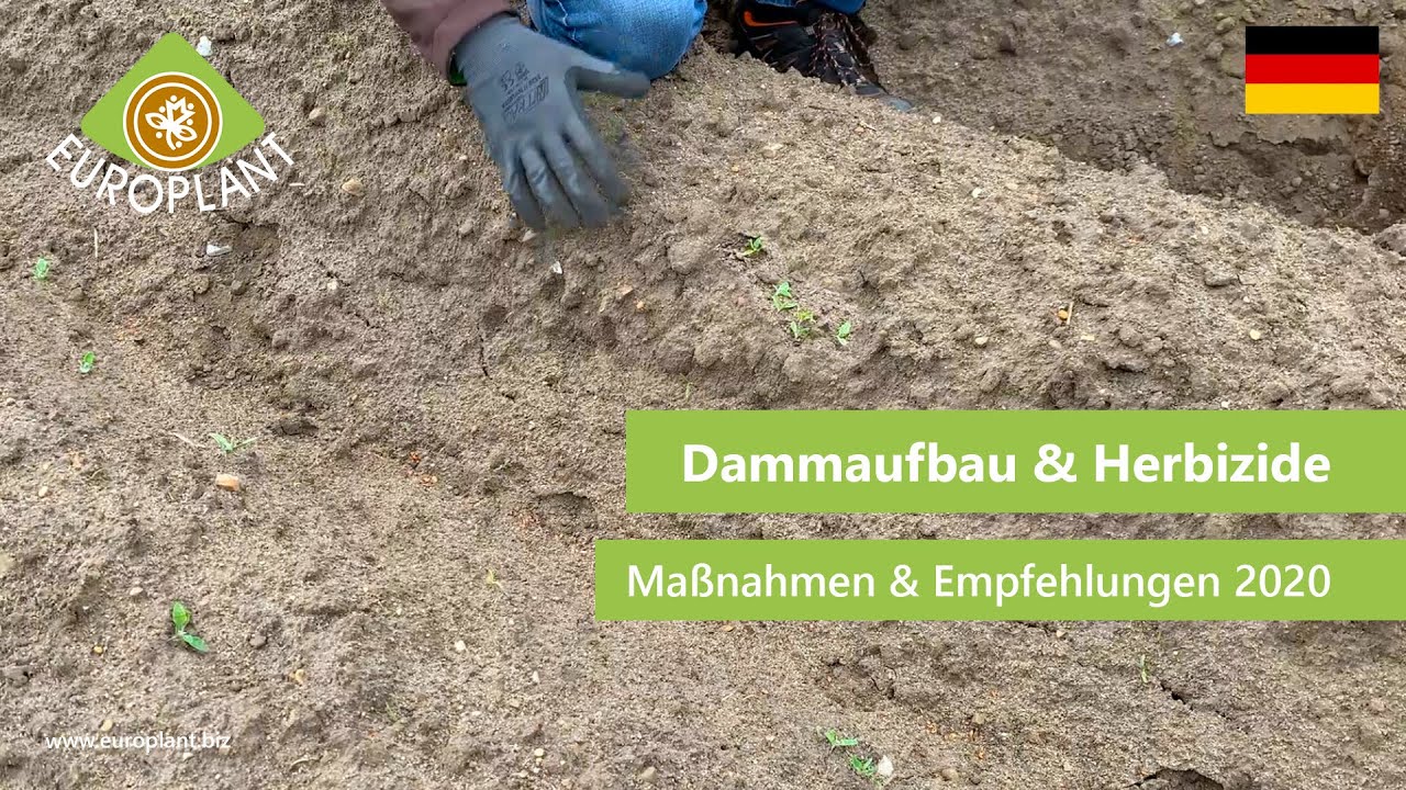 Dammaufbau und Herbizide - EUROPLANT