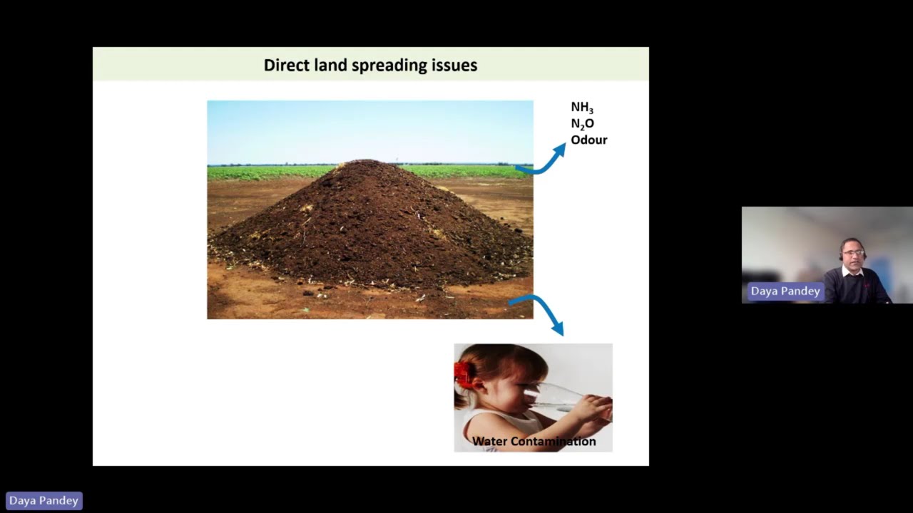 Dr Daya Pandey | Circular farming: Harnessing animal waste for energy and nutrient recovery