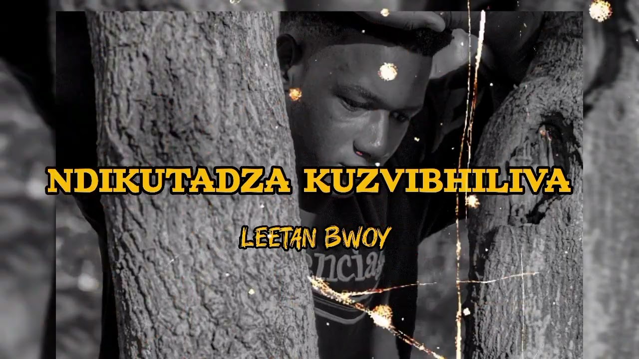 Tashie Zim_Ndikutadza kuzvi believer (Official Audio)ft Jnr Spragga tinodanana