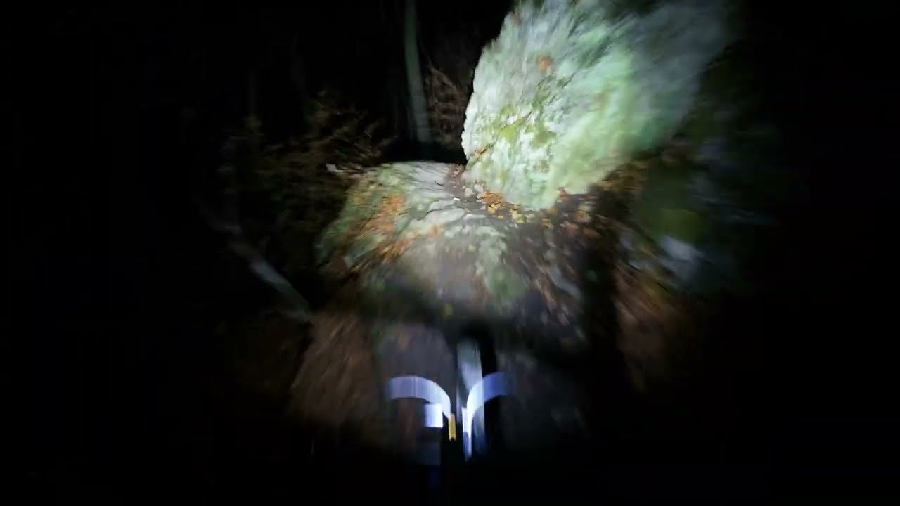 Świnia po zmroku | Las Wolski Enduro