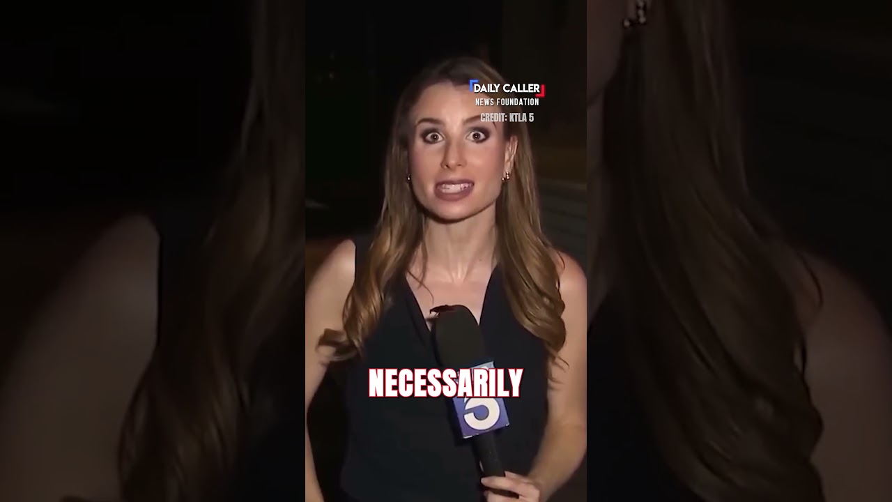MUST WATCH: KTLA Reporter Keeps Her Cool During Flying Cockroach Attack