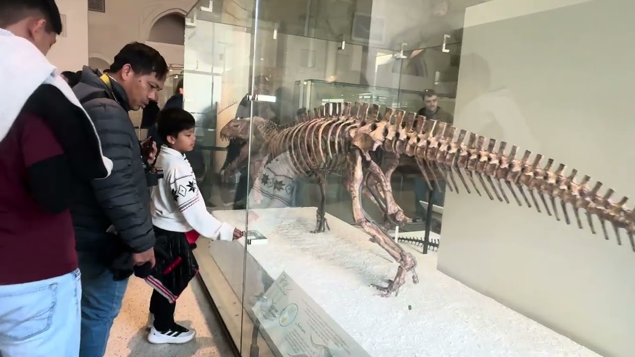 American Museum of Natural History  New York City December 22, 2025    