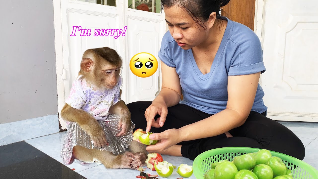 Monkey LyLy was naughty with all the fruit in the refrigerator, making her mother angry
