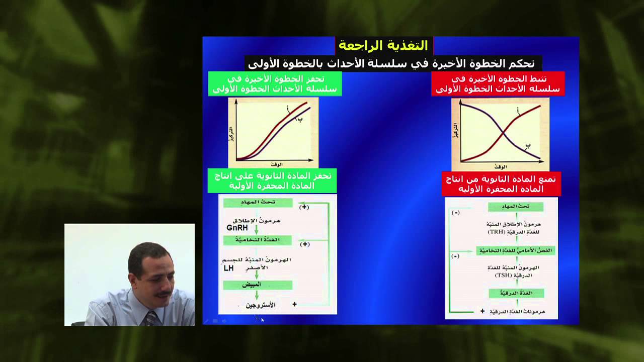 الأحياء - الصف الثانى عشر - الدرس رقم (12) التغذية الراجعة