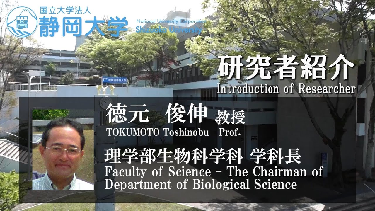 「ステロイド膜受容体の機能解明と創薬に向けた研究」徳元俊伸 教授 - 静岡大学 理学領域 【研究者紹介】