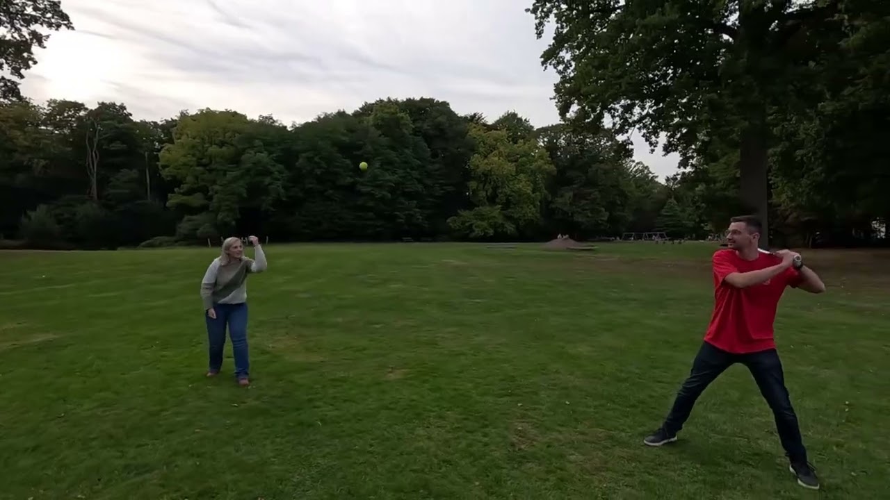 Honkbal hits