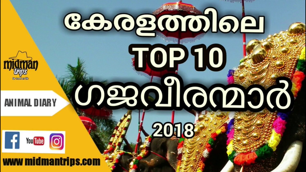 Top 10 Kerala Elephant  2018
