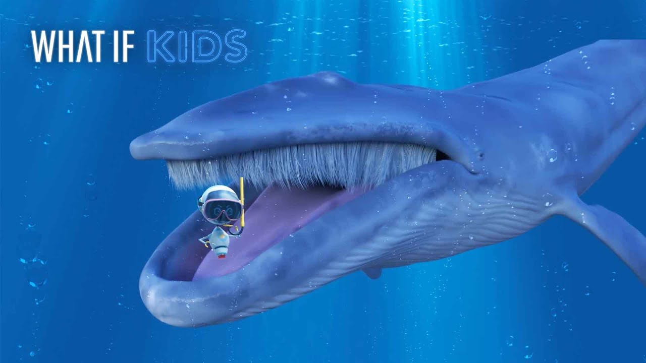 What If You Could Go Inside a Whale?