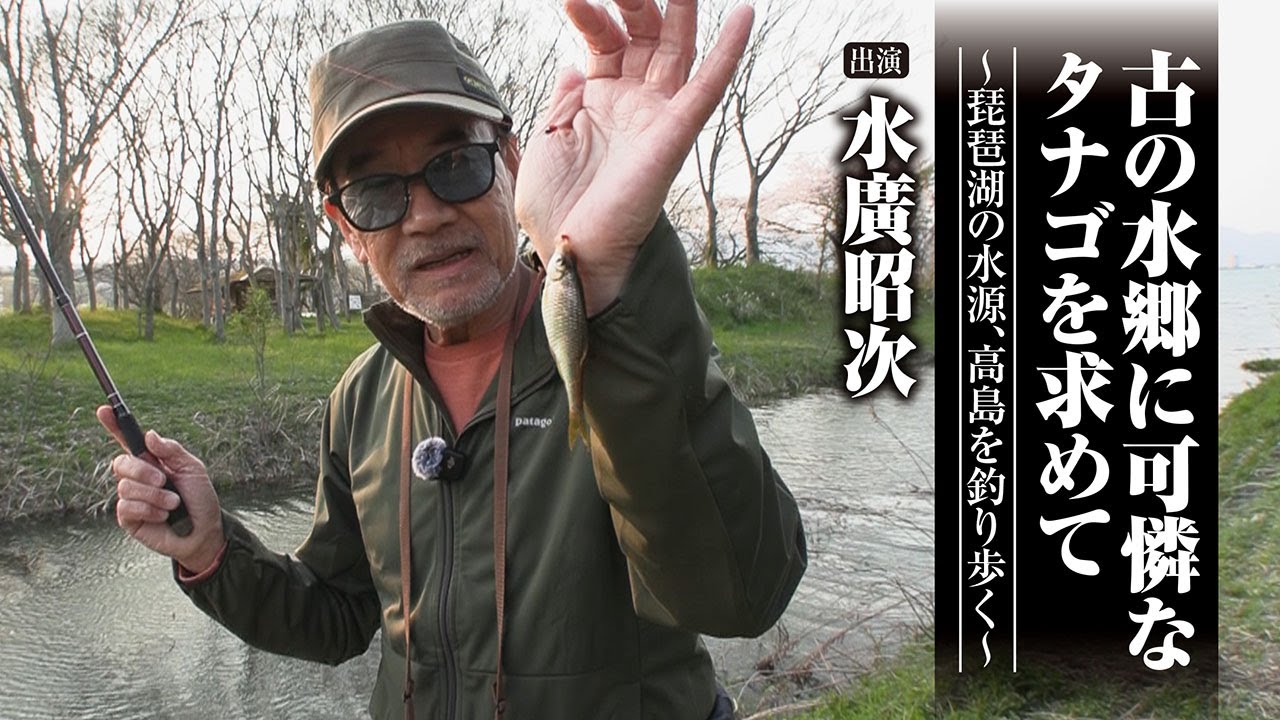 #672  古の水郷に可憐なタナゴを求めて～琵琶湖の水源、高島を釣り歩く～