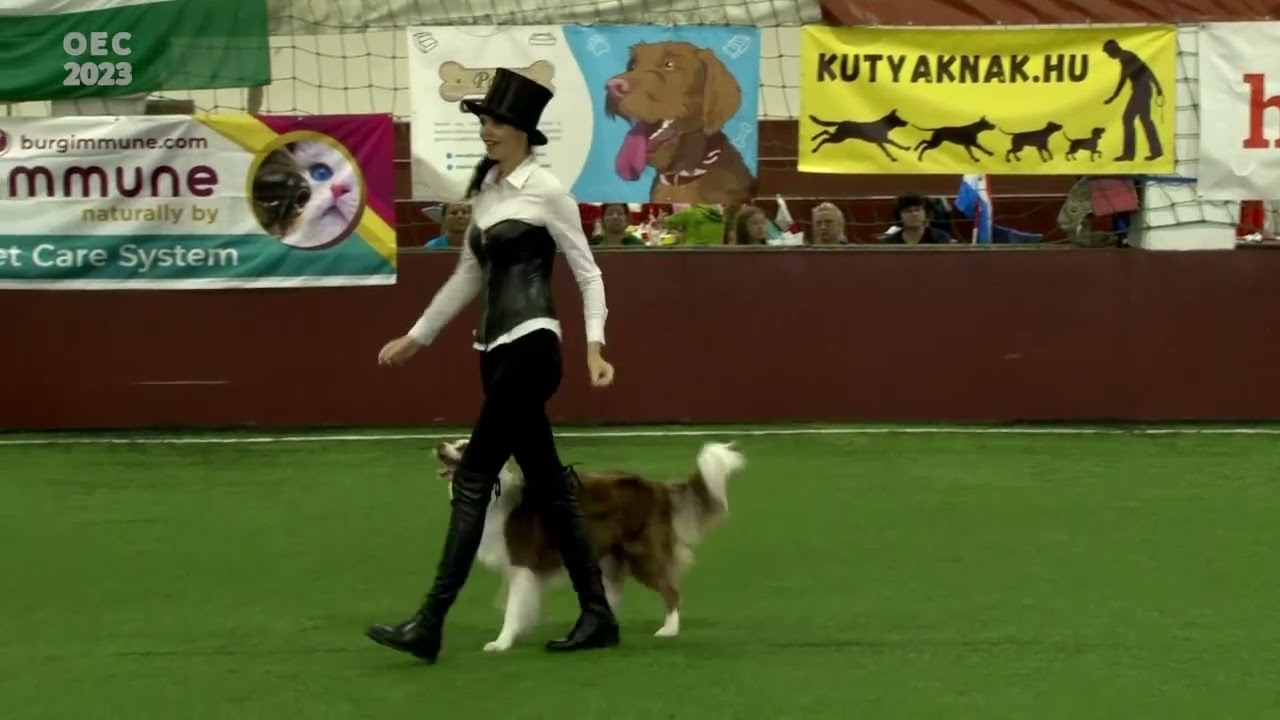 Dog Dancing European Championship 2023 Hungary &ndash; HTM Final &ndash; Lusy Imbergerova & Rysa