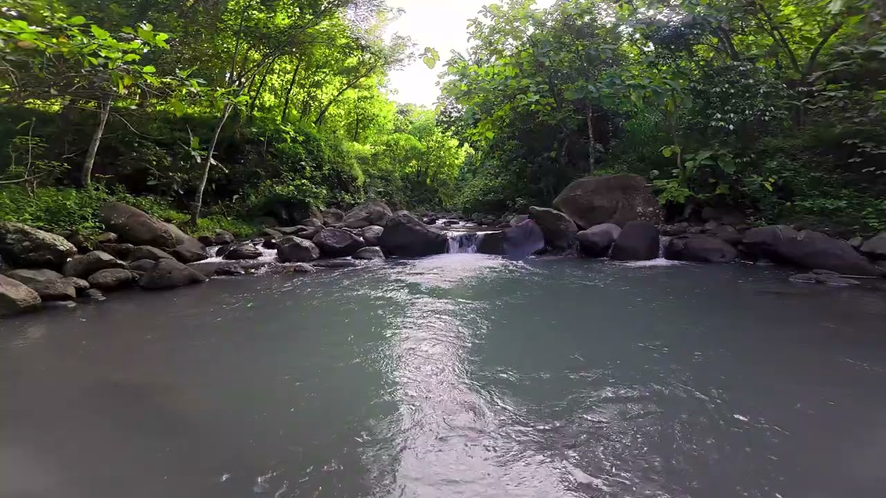 Nature Sounds for Sleeping - Relaxing White Noise of Water  Brown Noise | ASMR Sleep  Ambience