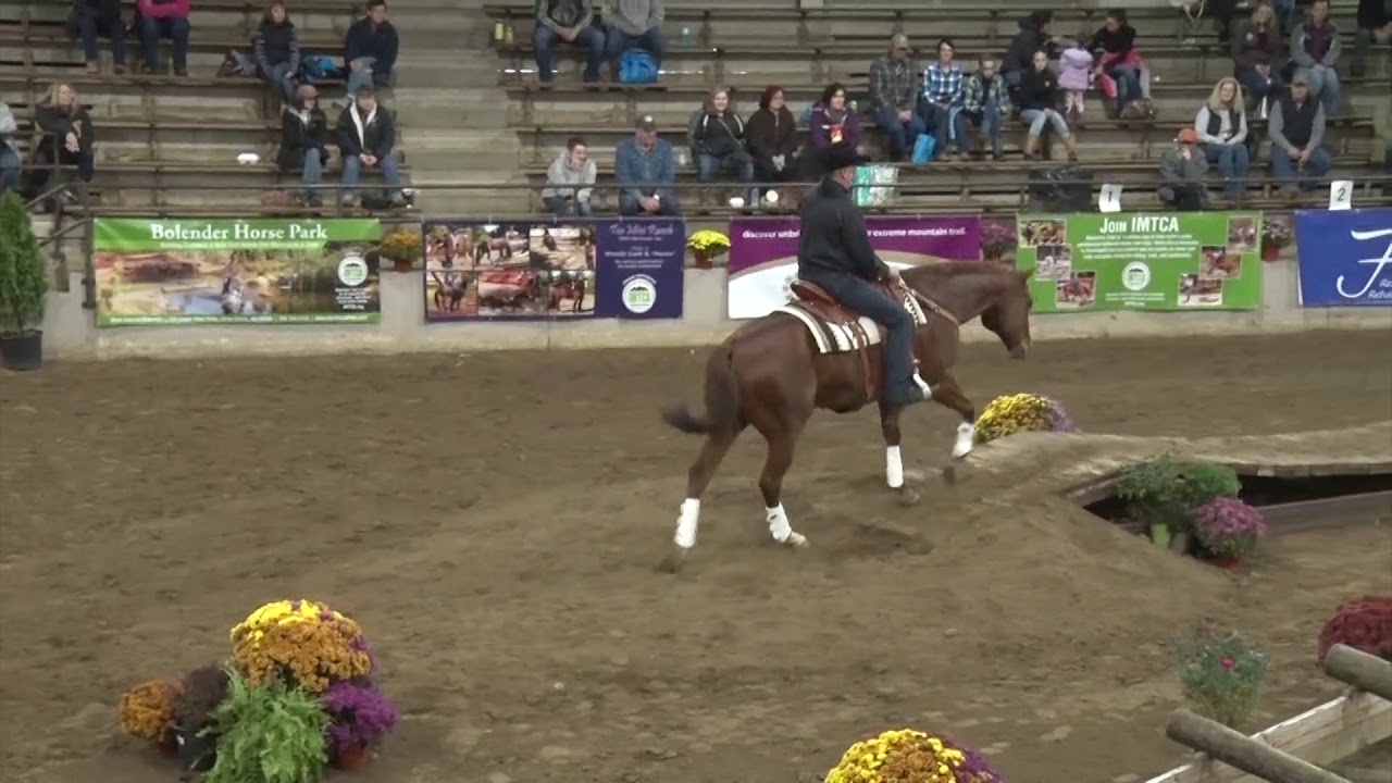 20184 Quarter Horse Congress Mountain Trail Demonstration