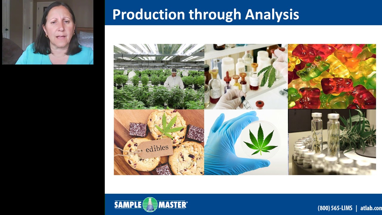 Automating Cannabis Testing with LIMS and Laboratory Automation