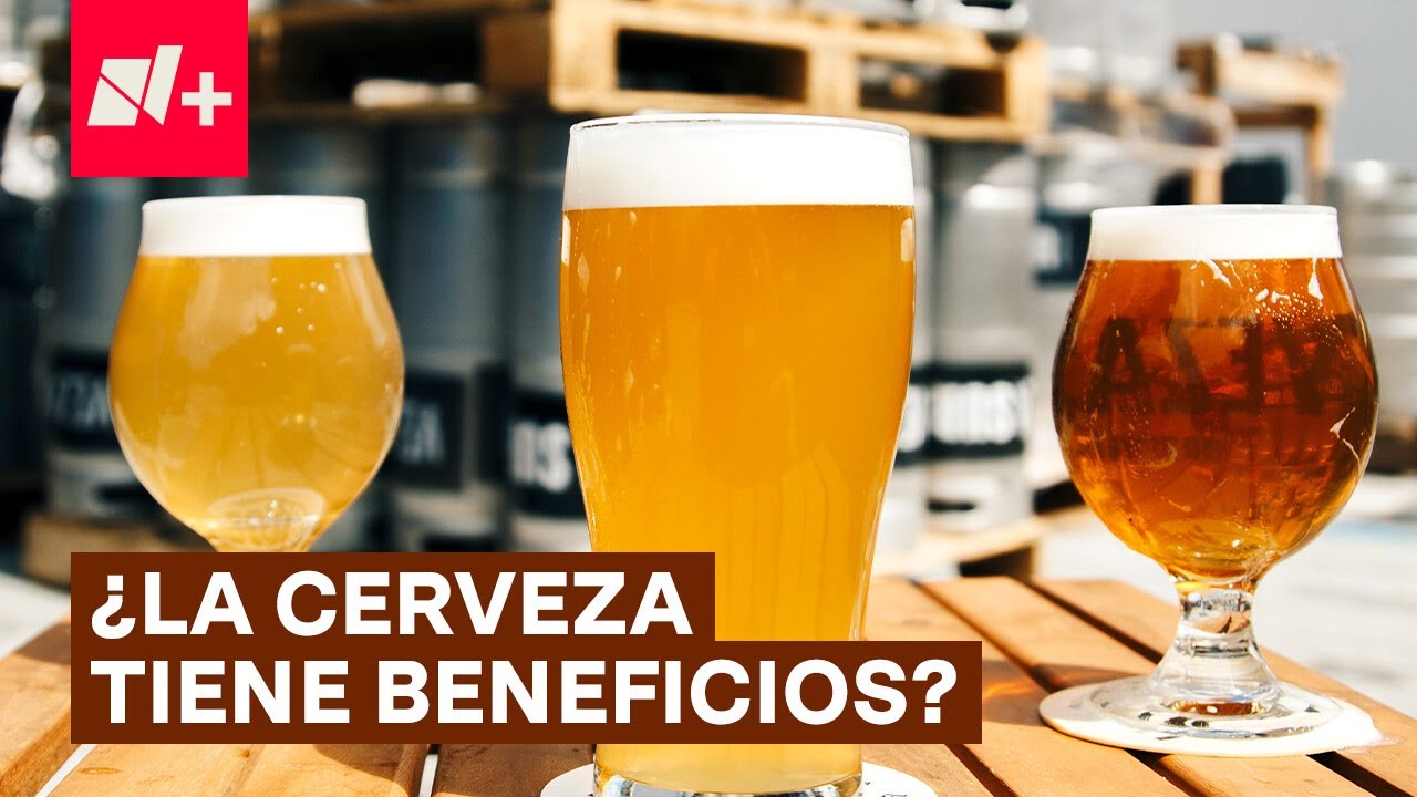 ¿La cerveza tiene algún beneficio a la salud? N+