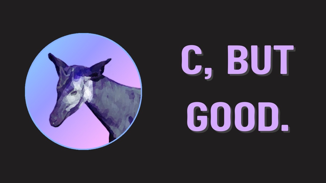 Perk: A Modern Take on Low Level Code