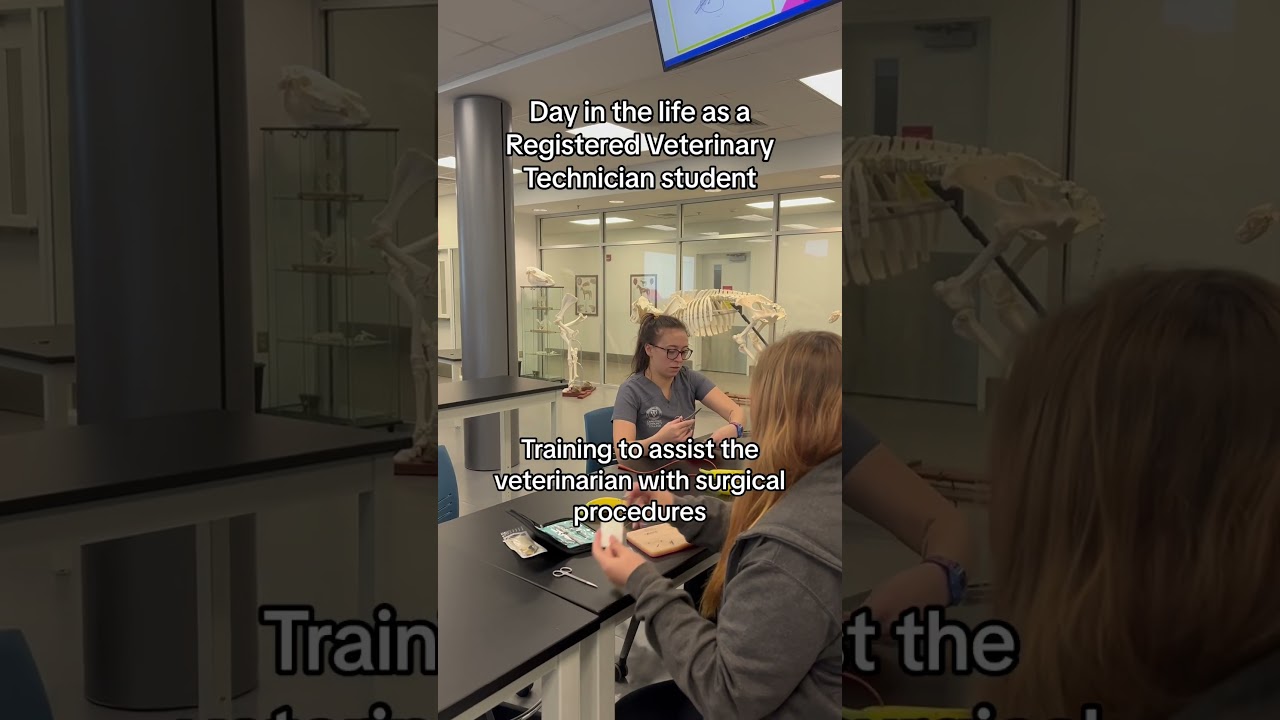 A very fulfilling career 🥰#vettech #vettechlife #veterinarytechnician #veterinarian #careers #fyp