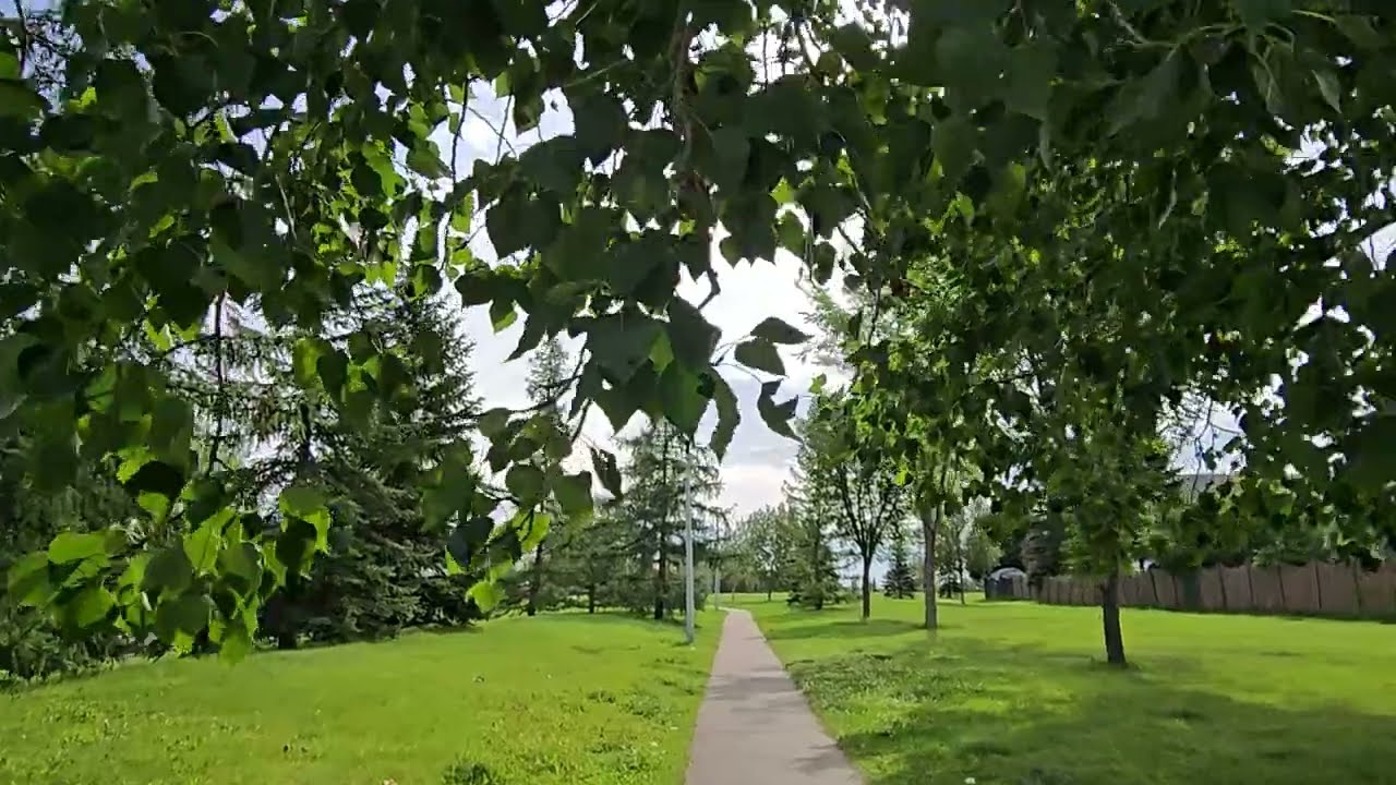 windy morning walk | bernee bee