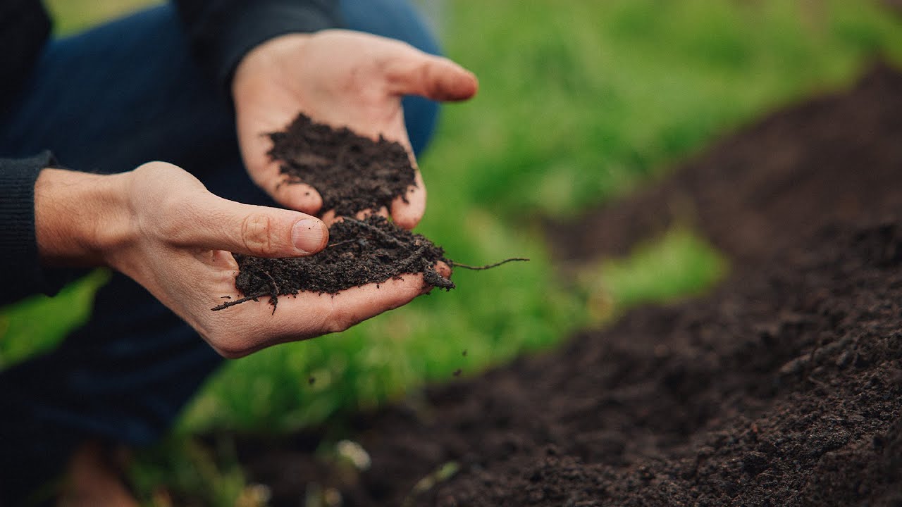 Biodynamie