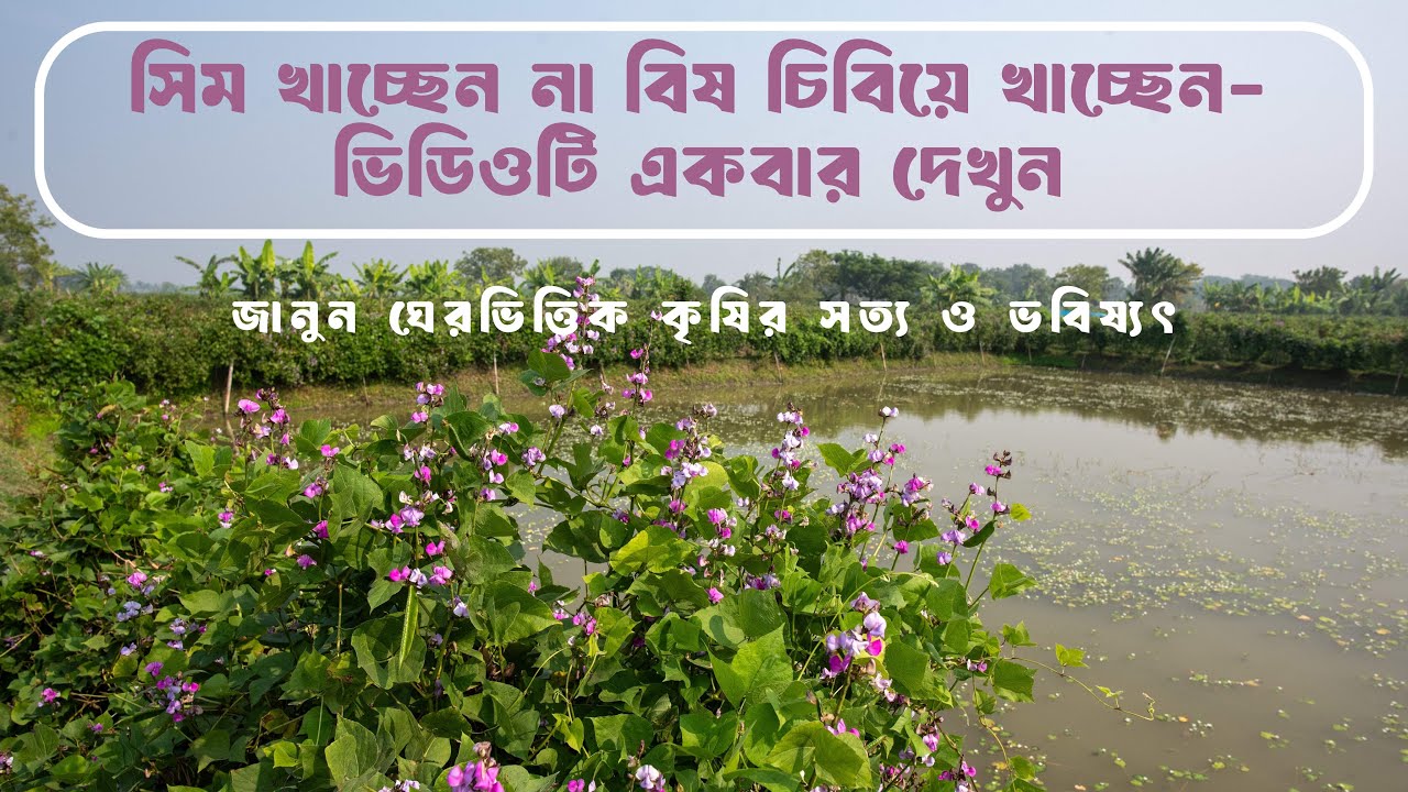 সিম খাচ্ছেন না বিষ চিবিয়ে খাচ্ছেন #balaram