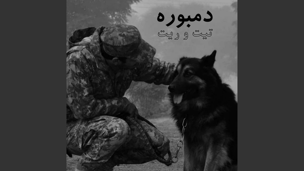 دمبوره بسیار تیت دیوانگان گوش کو چی میگه اوو