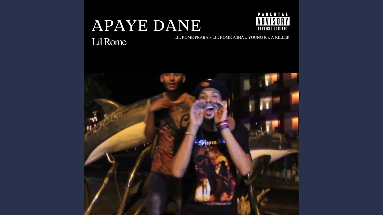Apaye Dane