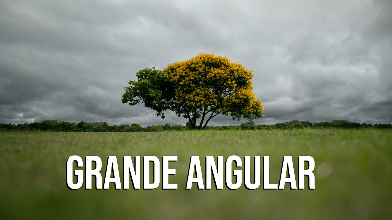 Por que a lente Grande Angular &eacute; t&atilde;o Especial ?
